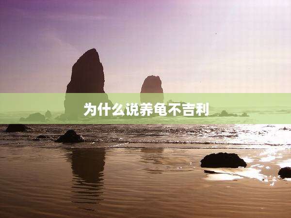 为什么说养龟不吉利
