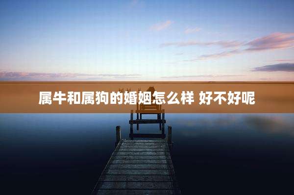属牛和属狗的婚姻怎么样 好不好呢
