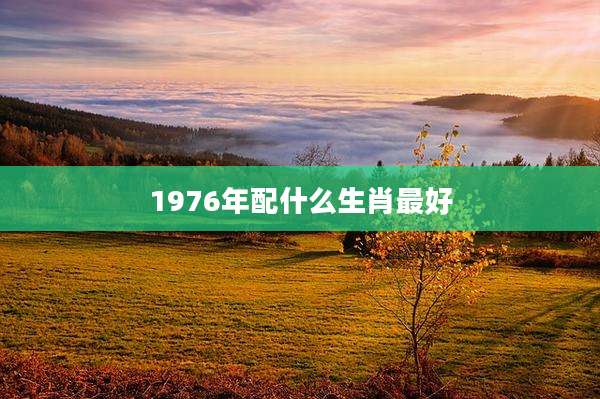 1976年配什么生肖最好