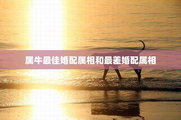 属牛最佳婚配属相和最差婚配属相