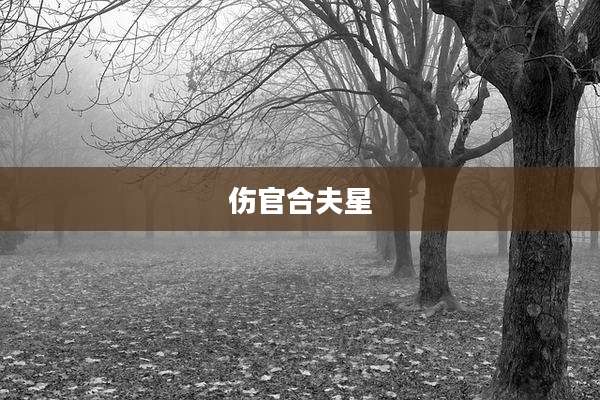 伤官合夫星