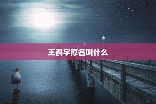 王鹤宇原名叫什么