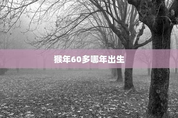 猴年60多哪年出生