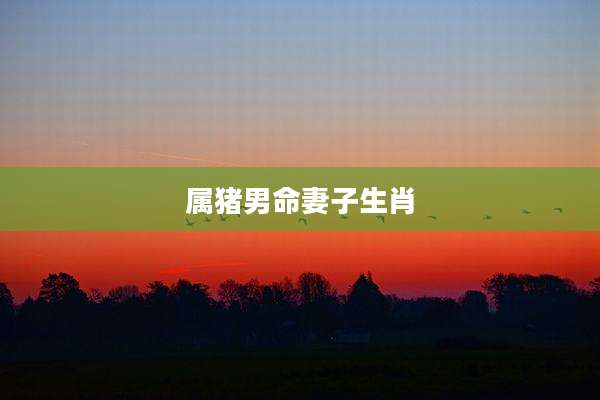 属猪男命妻子生肖