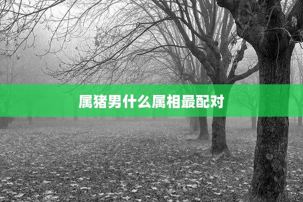 属猪男什么属相最配对