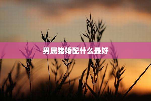 男属猪婚配什么最好