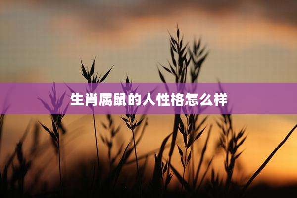 生肖属鼠的人性格怎么样