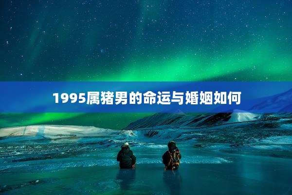 1995属猪男的命运与婚姻如何