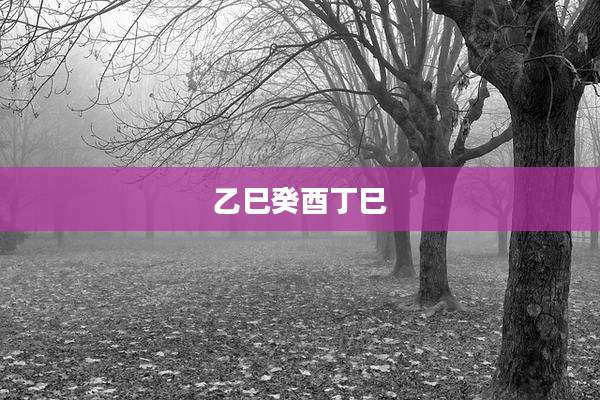 乙巳癸酉丁巳