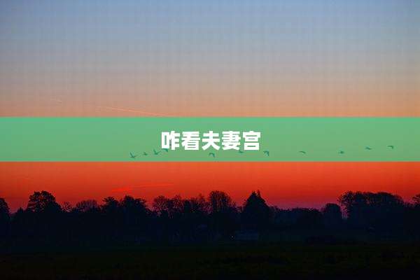 咋看夫妻宫