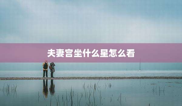 夫妻宫坐什么星怎么看