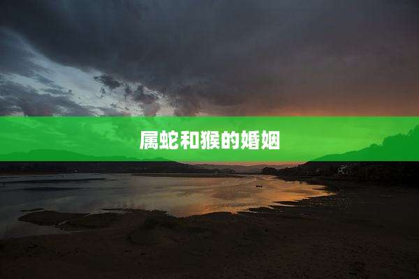 属蛇和猴的婚姻