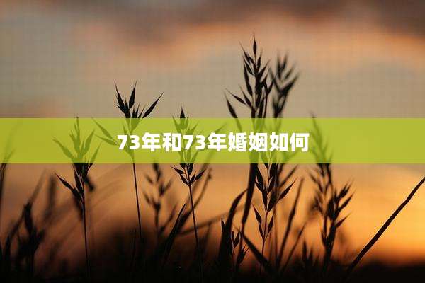 73年和73年婚姻如何