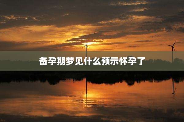 备孕期梦见什么预示怀孕了