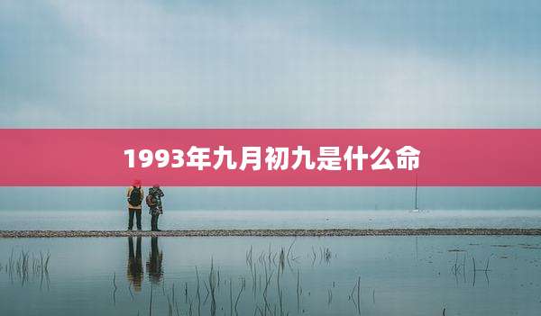 1993年九月初九是什么命
