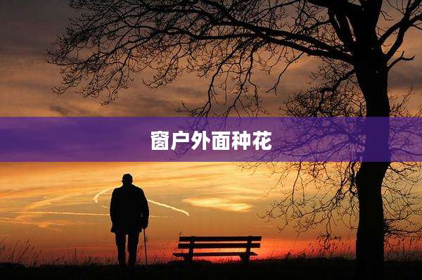 窗户外面种花