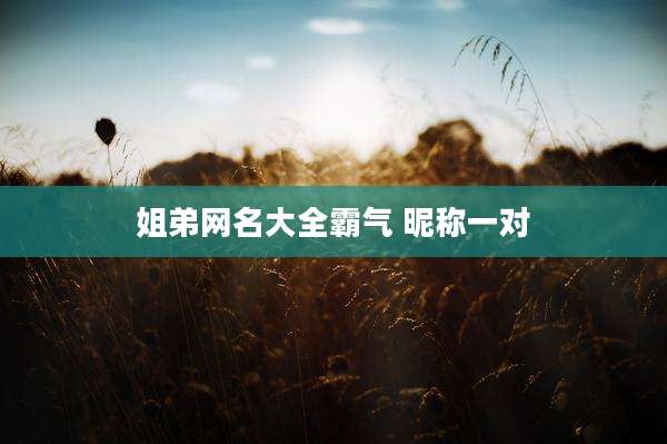 姐弟网名大全霸气 昵称一对