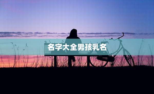 名字大全男孩乳名