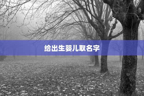 给出生婴儿取名字