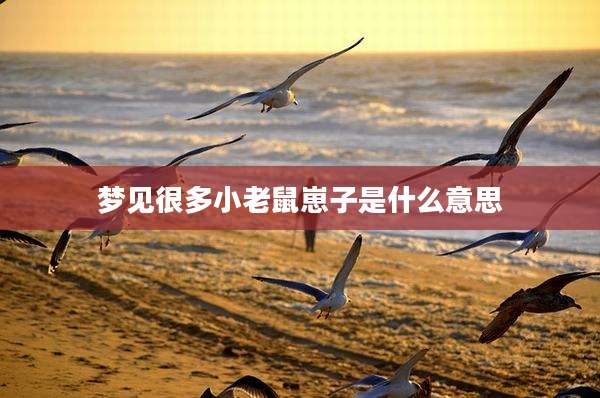梦见很多小老鼠崽子是什么意思