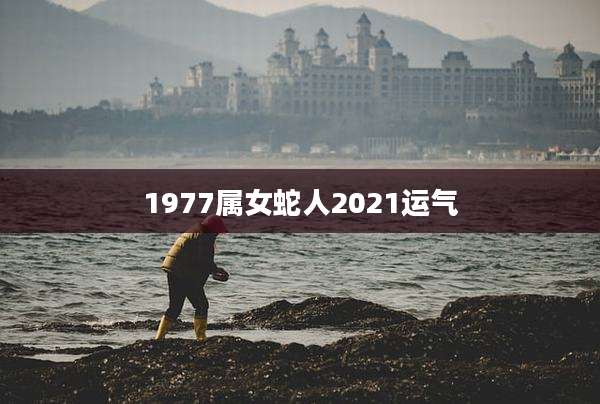 1977属女蛇人2021运气