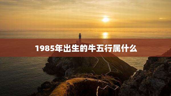 1985年出生的牛五行属什么