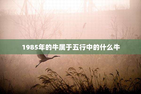 1985年的牛属于五行中的什么牛