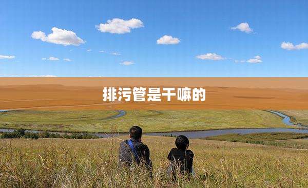 排污管是干嘛的