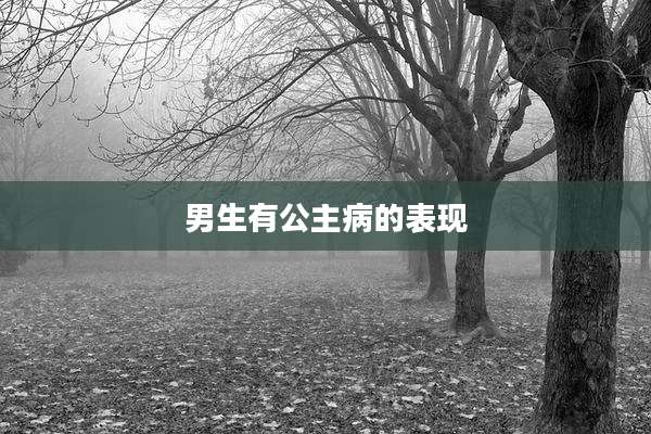 男生有公主病的表现