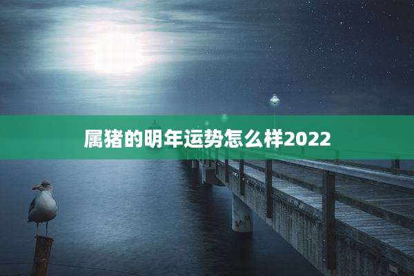 属猪的明年运势怎么样2022