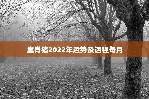 生肖猪2022年运势及运程每月