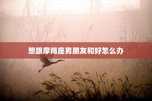 想跟摩羯座男朋友和好怎么办