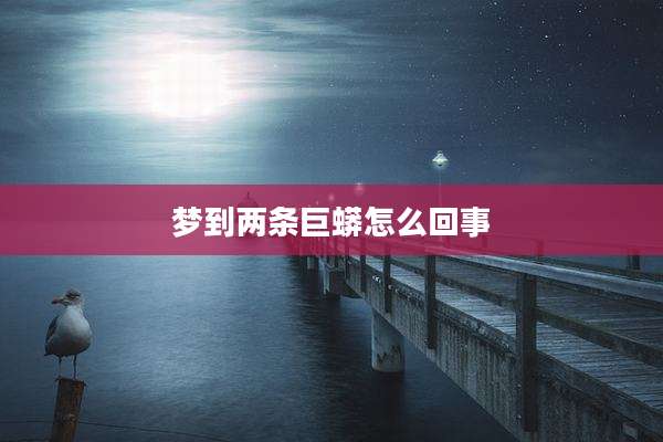 梦到两条巨蟒怎么回事
