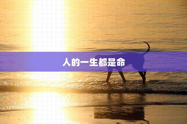 人的一生都是命
