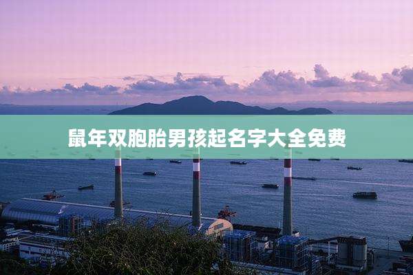 鼠年双胞胎男孩起名字大全免费