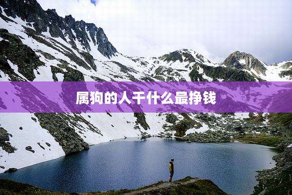 属狗的人干什么最挣钱