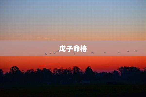 戊子命格