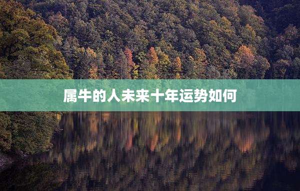 属牛的人未来十年运势如何