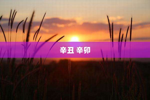 辛丑 辛卯