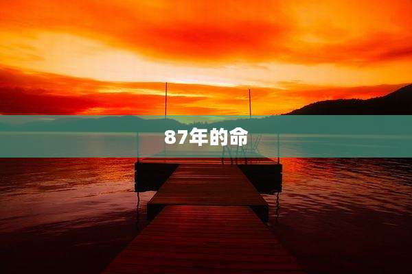 87年的命