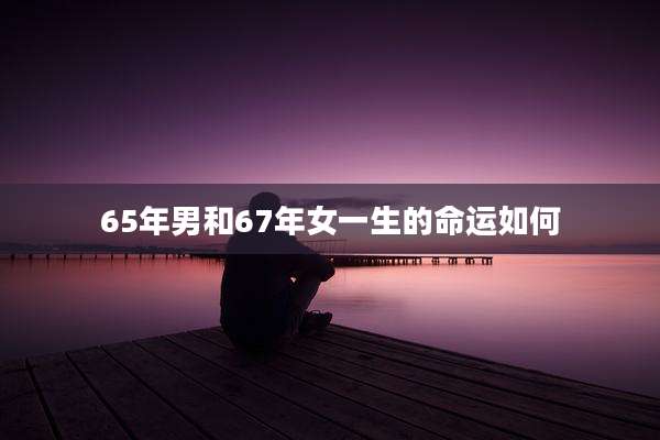 65年男和67年女一生的命运如何