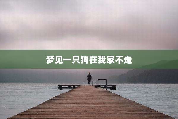 梦见一只狗在我家不走