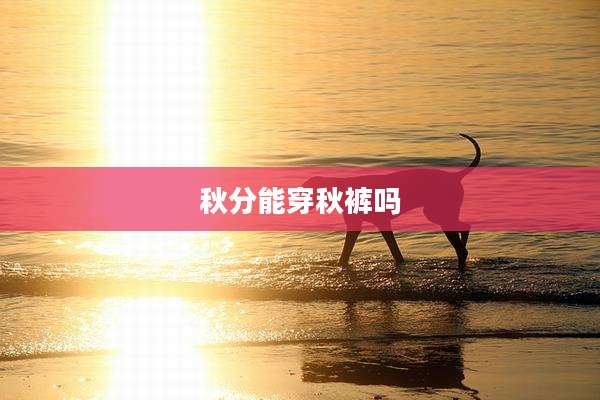 秋分能穿秋裤吗