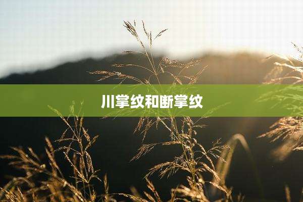 川掌纹和断掌纹