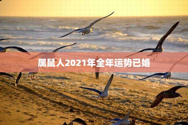 属鼠人2021年全年运势已婚