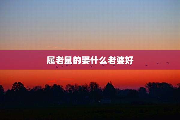 属老鼠的娶什么老婆好