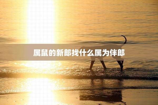 属鼠的新郎找什么属为伴郎