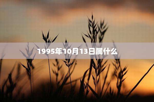 1995年10月13日属什么