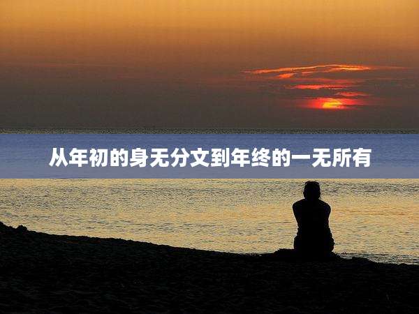 从年初的身无分文到年终的一无所有