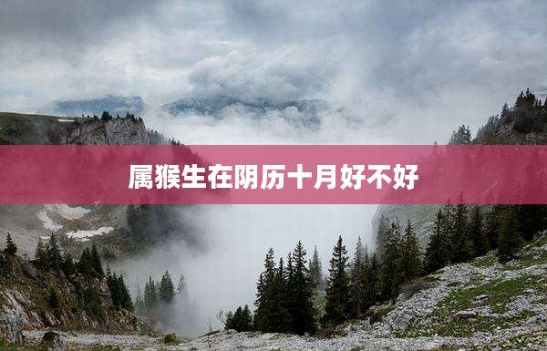属猴生在阴历十月好不好